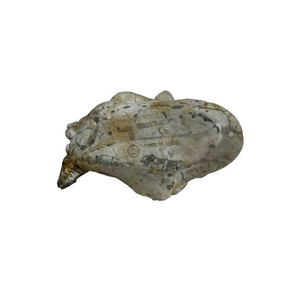 AAA Baby Dinosaur Hatching Egg Triceratops PVC Rubber Figure 3 1/2" x 2" - Picture 4 of 5